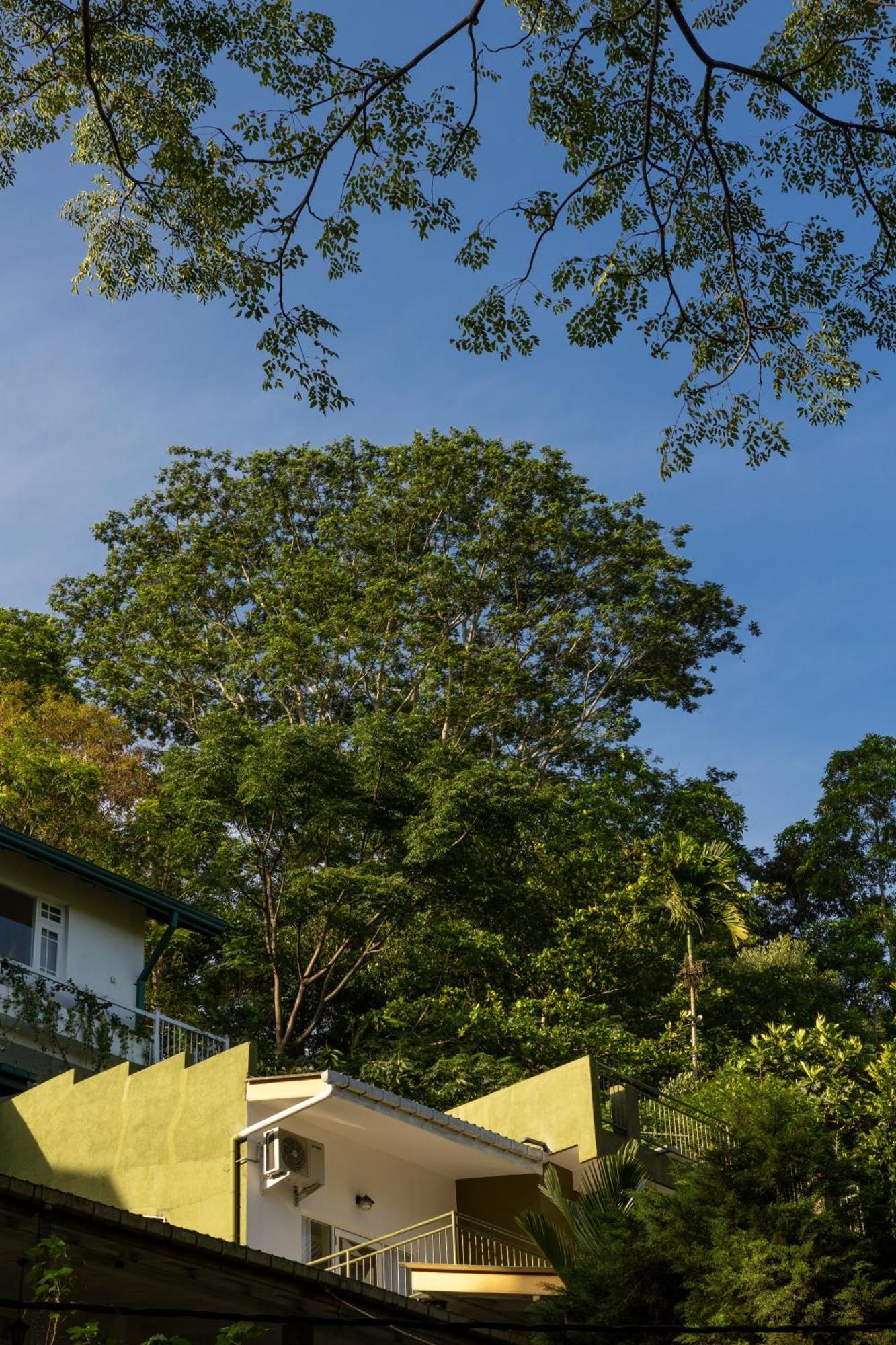 Greenwood Edge Kandy Luaran gambar
